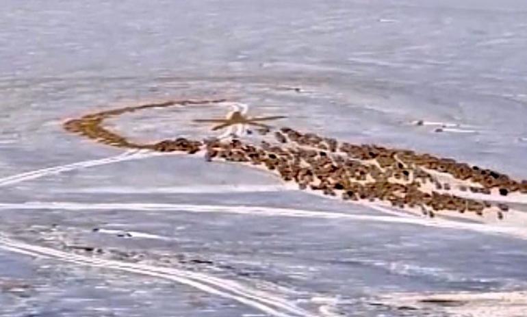 Karla kaplı arazide ay yıldız oluşturdu