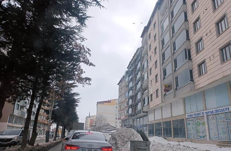 Çatıdan üzerine kar kütlesi düşen Ayşe, hayatını kaybetti