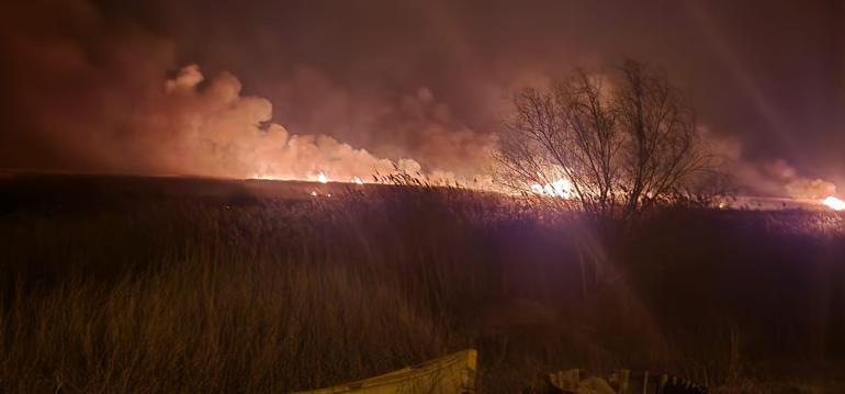 Eber Gölünde 5 farklı noktada yangın çıktı