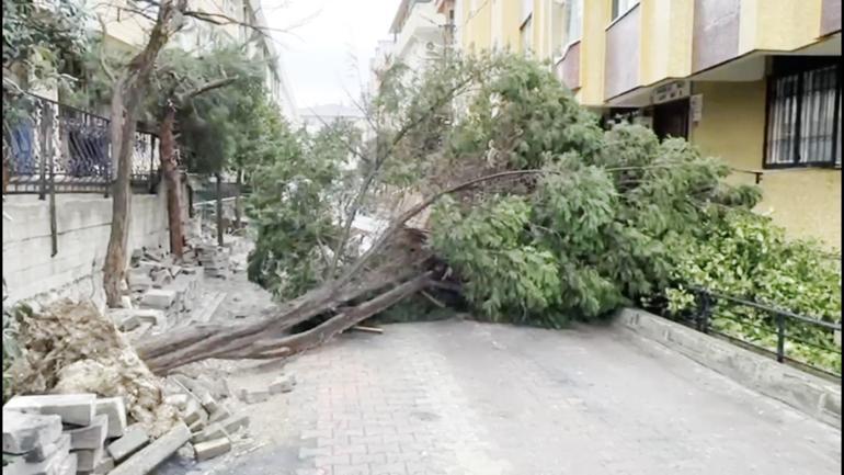 İstanbul’da kuvvetli rüzgar: Çatı uçtu, ağaçlar devrildi
