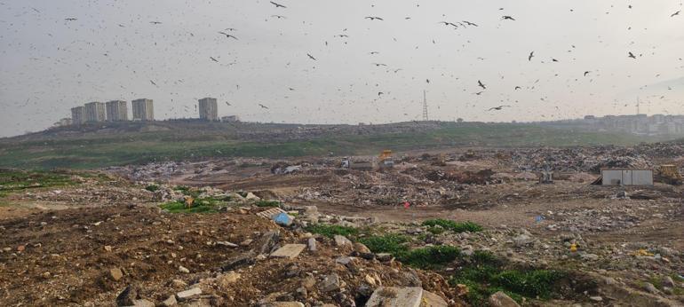 Bakanlıktan Bursa Büyükşehir Belediyesine çevre kirliliği cezası