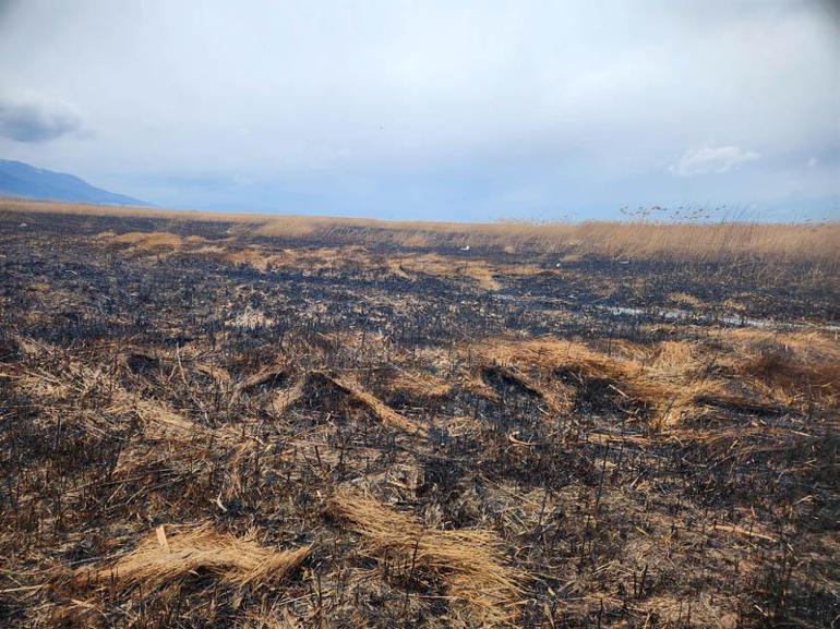 Eber Gölündeki kamış yangınları söndürüldü