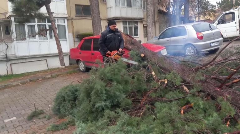 Gedizde fırtına; ağaçlar devrildi, bina dış cephe kaplamaları söküldü