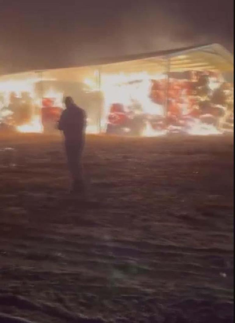 Unutulan ateşin közünden sıçrayan kıvılcımlar, çiftlikteki saman balyalarını yaktı