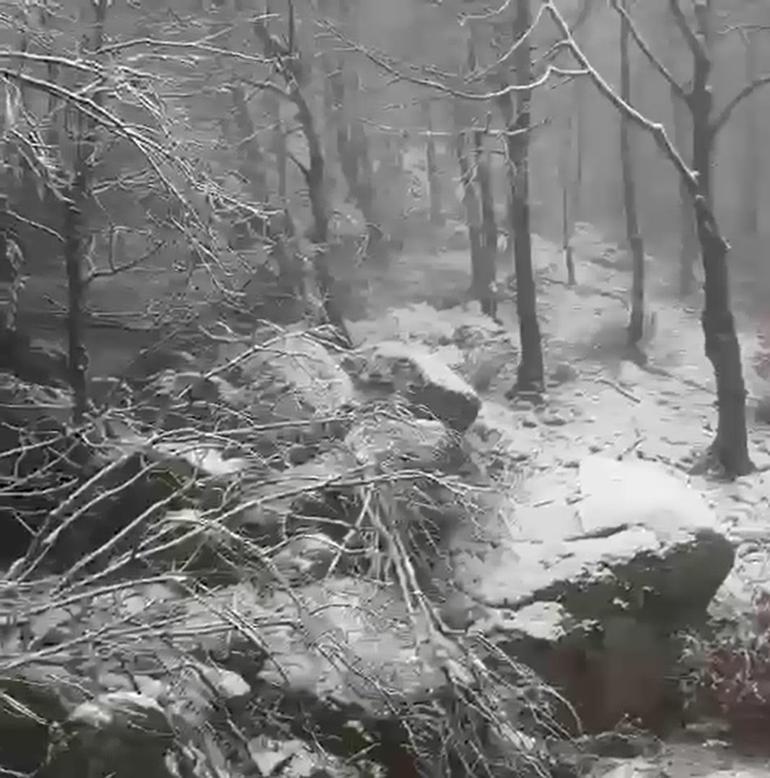 Erdek ilçesinde kar yağışı etkili oldu