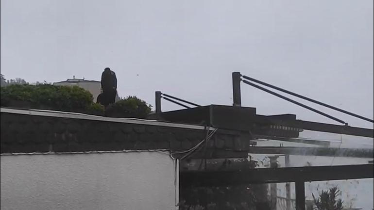 Bebek Otelde kaçak yapılar yıkılıyor