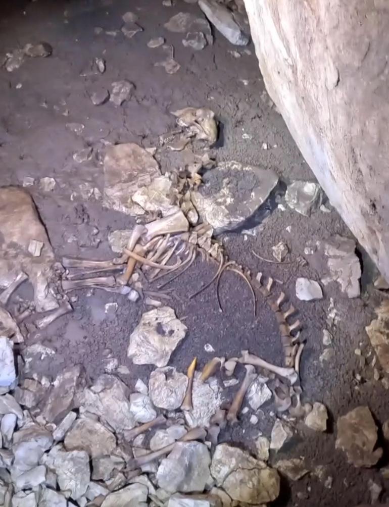 Keşif için girdikleri mağarada hurda otomobille karşılaştılar