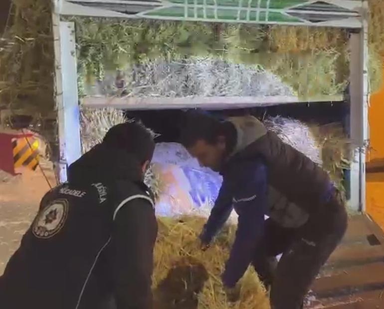 Saman balyalarının arasında 3 kaçak göçmen yakalandı