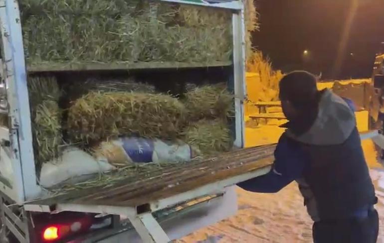 Saman balyalarının arasında 3 kaçak göçmen yakalandı