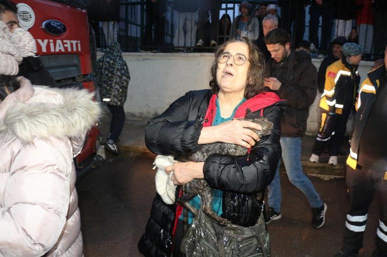 Tokat’ta yanan evdeki kedi itfaiye ekiplerince kurtardı
