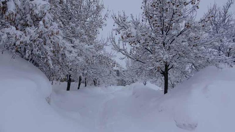 Bitliste kardan 229 yerleşim yerinin yolu kapandı