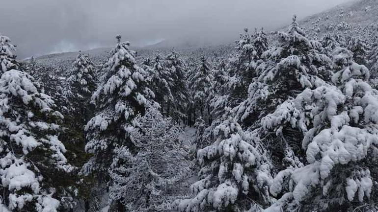 Yaylalarda kar ve sis, eşsiz manzaralar oluşturdu