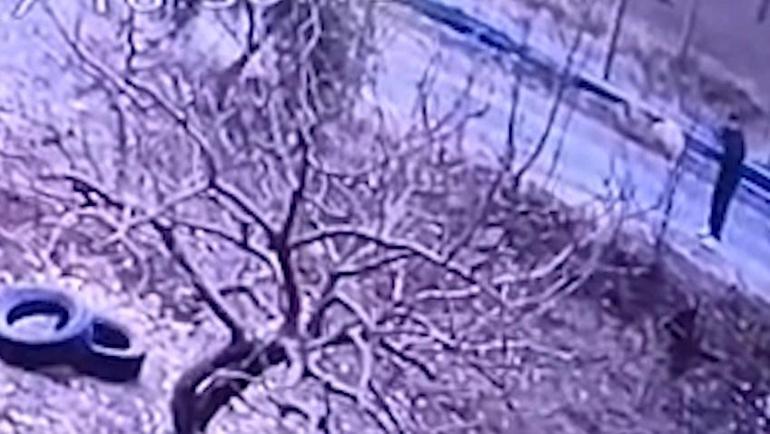 Kendisine doğru koşan köpeği tüfekle vurup öldürdü