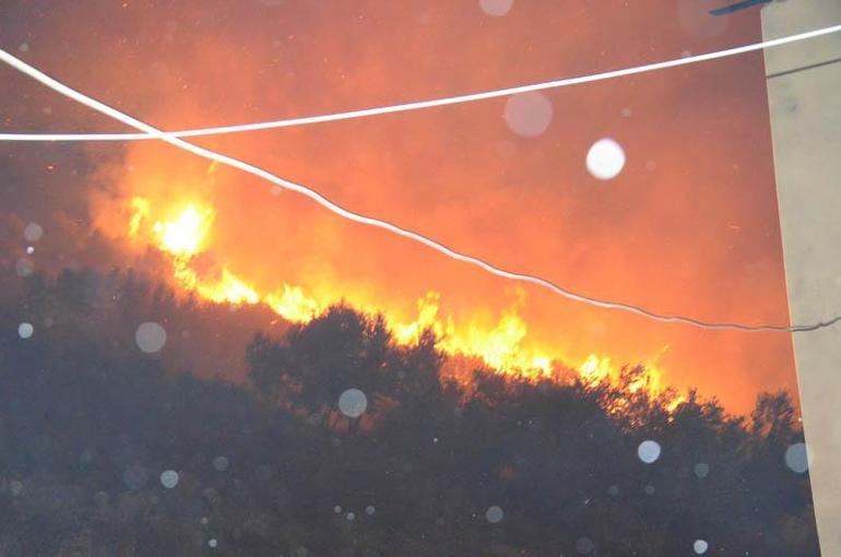 Antalyada orman yangını