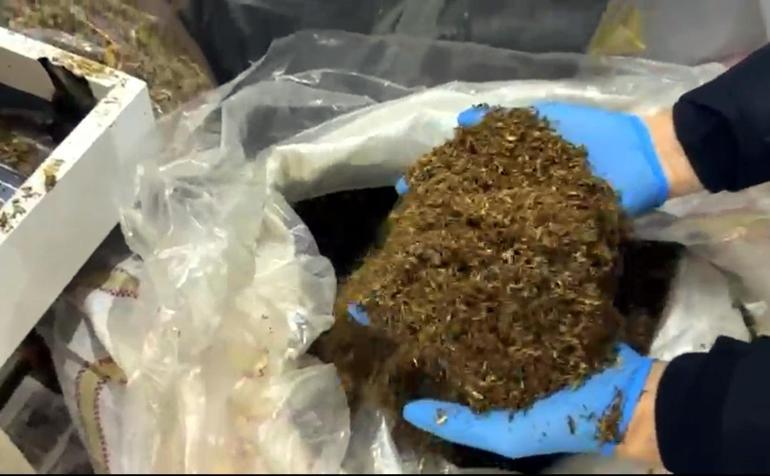 Edirnede kaçak tütün operasyonu; 4 gözaltı