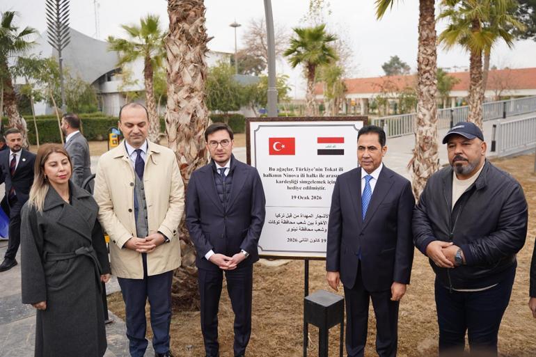 Tokat Belediyesi, Musulda Devlet Bahçeli adına hatıra ormanı kurdu