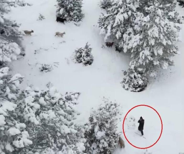 Nallıhan’da çoban, gördüğü drona tüfek doğrulttu; o anlar kamerada