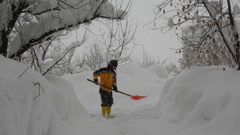 Bitliste kardan kapanan 197 yerleşim yerinin yolu açıldı