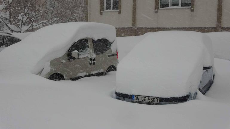 Bitliste kardan kapanan 197 yerleşim yerinin yolu açıldı
