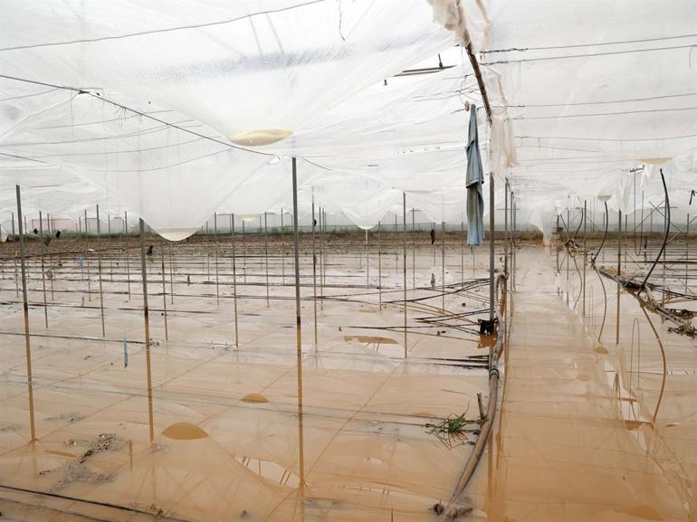 Sarı kodla uyarılan Antalyada tarım alanları su altında kaldı