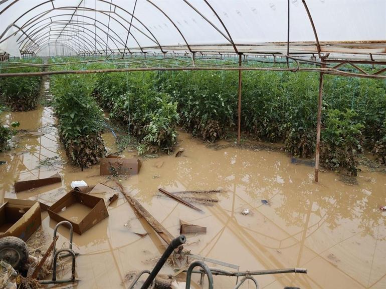 Sarı kodla uyarılan Antalyada tarım alanları su altında kaldı