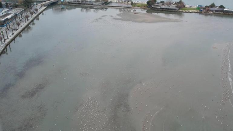 Silivri ve Avcılarda deniz metrelerce çekildi