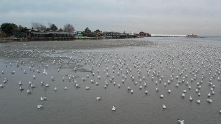 Silivri ve Avcılarda deniz metrelerce çekildi