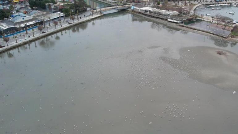 Silivri ve Avcılarda deniz metrelerce çekildi