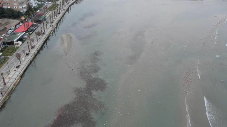 Silivri ve Avcılarda deniz metrelerce çekildi