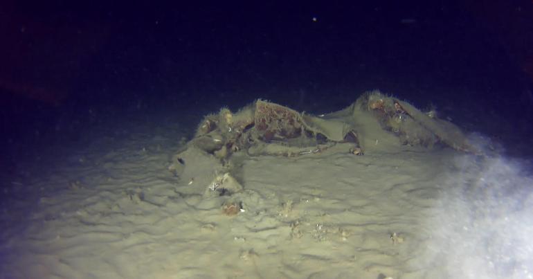 THYnin 50 yıl önce düşen uçağının enkazından yeni parçalar bulundu