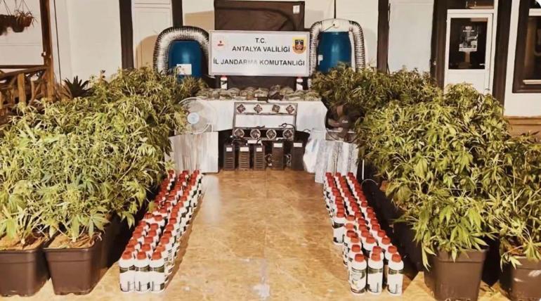 23 ilde uyuşturucu operasyonu: 177 tutuklama