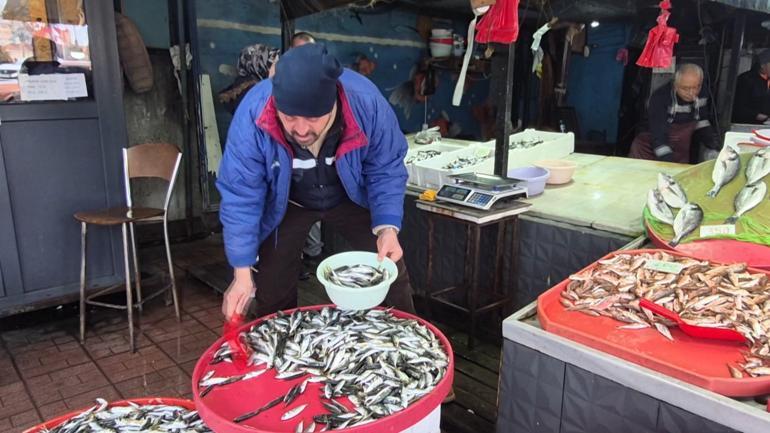 Zonguldakta poyraz nedeniyle bazı balıkçılar denize açılamadı