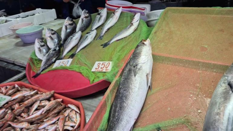 Zonguldakta poyraz nedeniyle bazı balıkçılar denize açılamadı