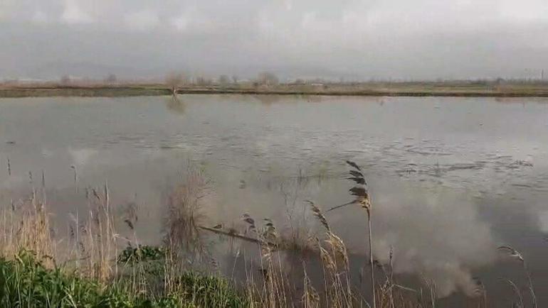 Büyük Menderes Nehri yine taştı; Köşk ilçesinde tarım alanlarını su bastı