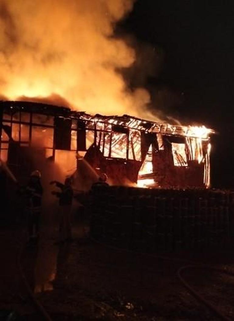 Ahırda çıkan yangında 1 büyükbaş öldü, 12si kurtarıldı