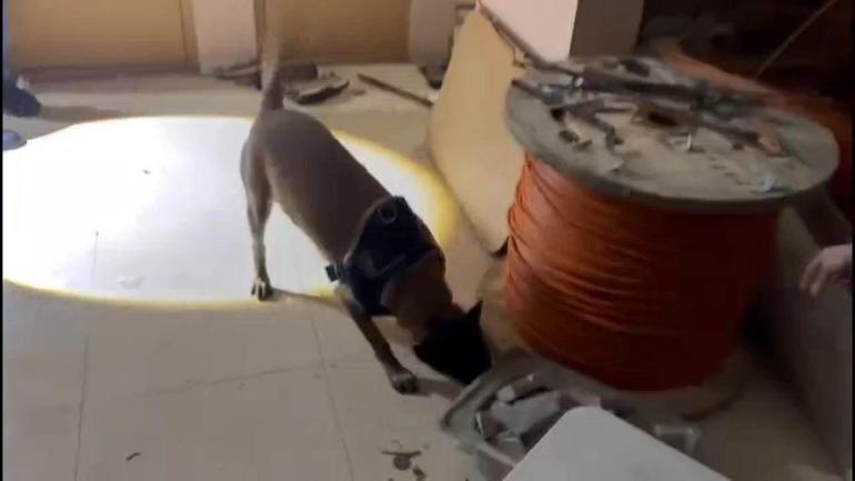 Avcılarda uyuşturucu operasyonu: 50 kilo 809 gram metamfetamin ele geçirildi