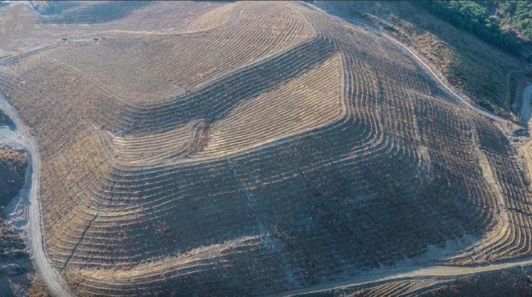 Maden sahası rehabilitasyonla yeşerdi