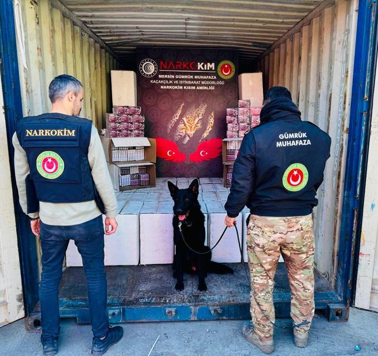 Gümrük Muhafaza birimleri 4,6 milyar liralık uyuşturucu ele geçirdi