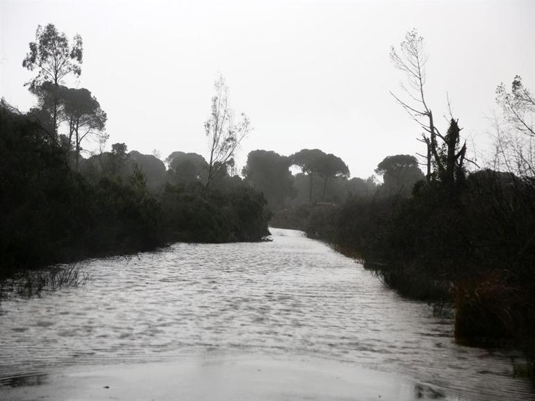 Antalyayı sağanak vurdu; 7 ilçede okullar tatil edildi