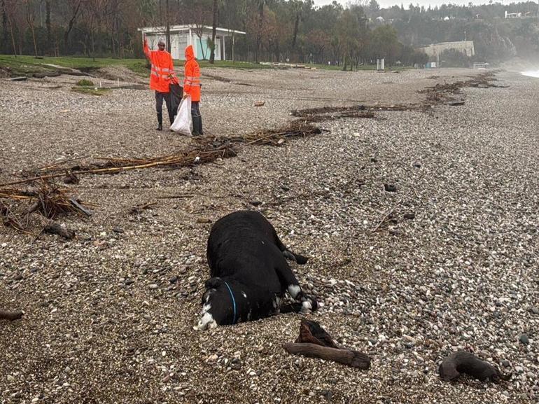 Antalyayı sağanak vurdu; 7 ilçede okullar tatil edildi