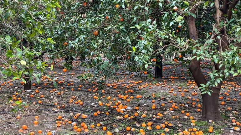 Antalyayı sağanak vurdu; 7 ilçede okullar tatil edildi