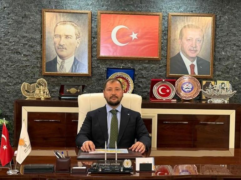 Muğla Valiliğinden Milastaki zeytin ağacı kesimine soruşturma