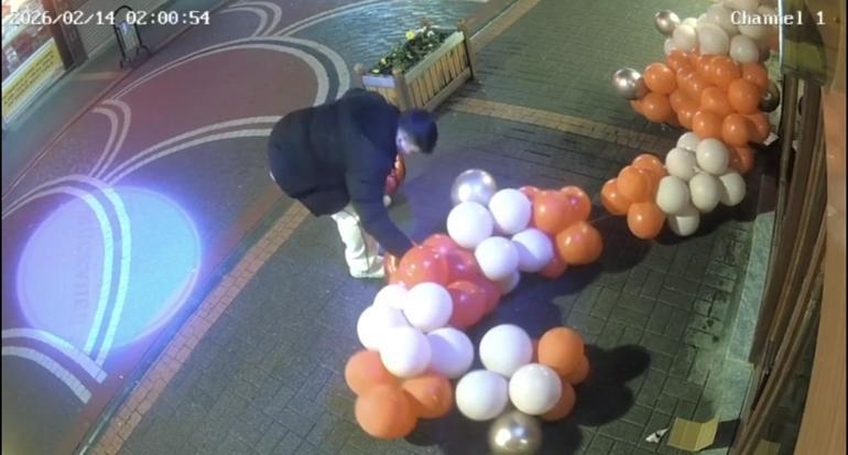 Sevgililer Günü süslemesi için asılan balonlara zarar verdi; o anlar kamerada