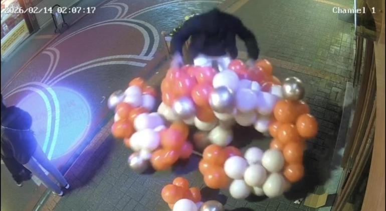 Sevgililer Günü süslemesi için asılan balonlara zarar verdi; o anlar kamerada