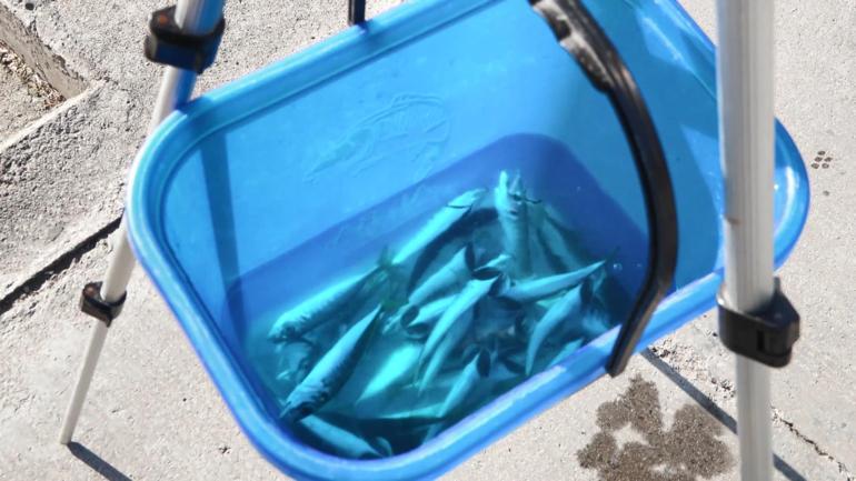 İstanbul’da güzel havayı fırsat bilenler Bebek Sahiline akın etti