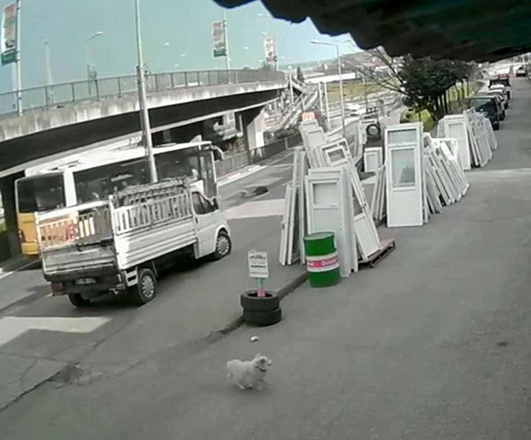 Köpekten kaçarken otobüsün çarptığı üniversiteli ağır yaralandı, kaza kamerada