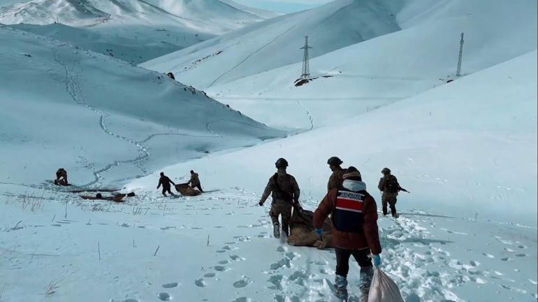 Van ve Hakkaride 406 kilo uyuşturucu madde ele geçirildi