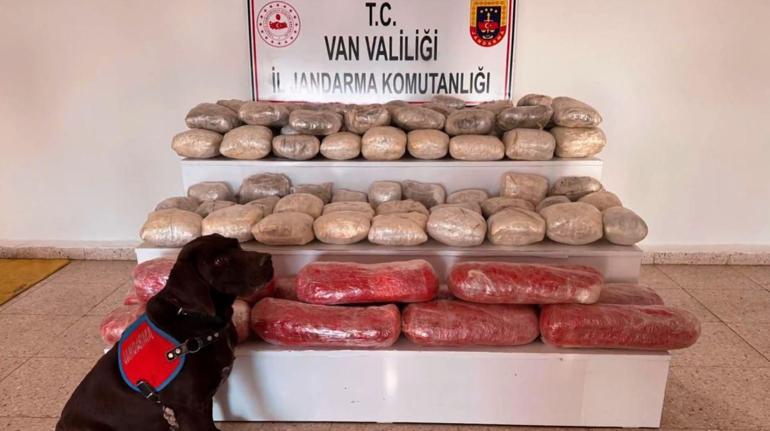 Van ve Hakkaride 406 kilo uyuşturucu madde ele geçirildi