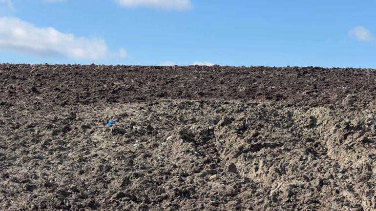 Çinli iş insanının cesedi elleri ve ayakları bağlı toprağa gömülü bulundu