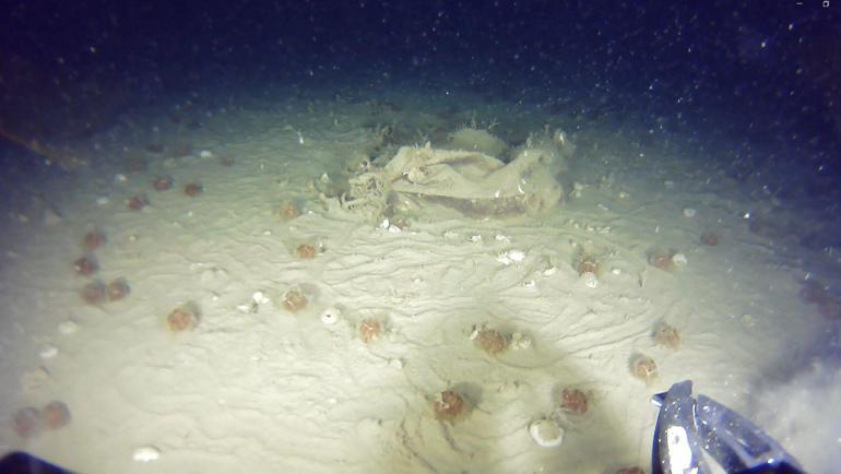 THYnin 51 yıl önce düşen uçağının enkazından yeni parçalar bulundu